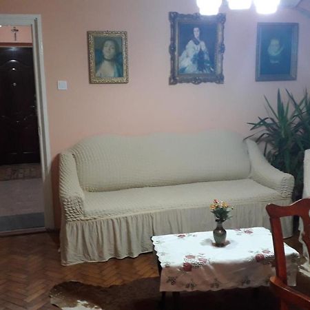 Cozy, central 1-bedroom apartment in Timisoara, Romania Exterior foto