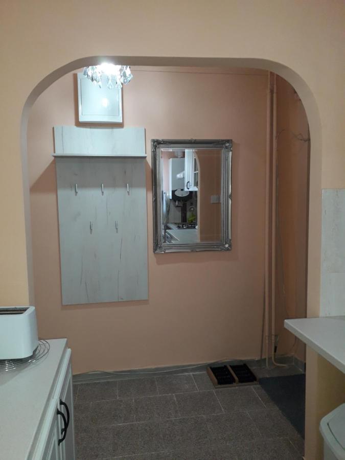Cozy, central 1-bedroom apartment in Timisoara, Romania Exterior foto