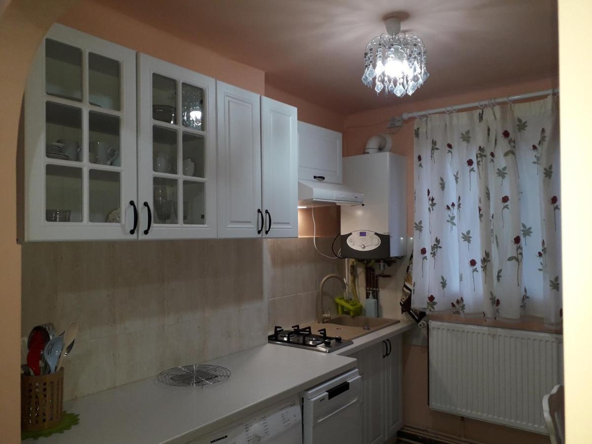 Cozy, central 1-bedroom apartment in Timisoara, Romania Exterior foto