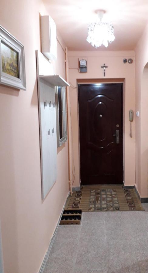 Cozy, central 1-bedroom apartment in Timisoara, Romania Exterior foto